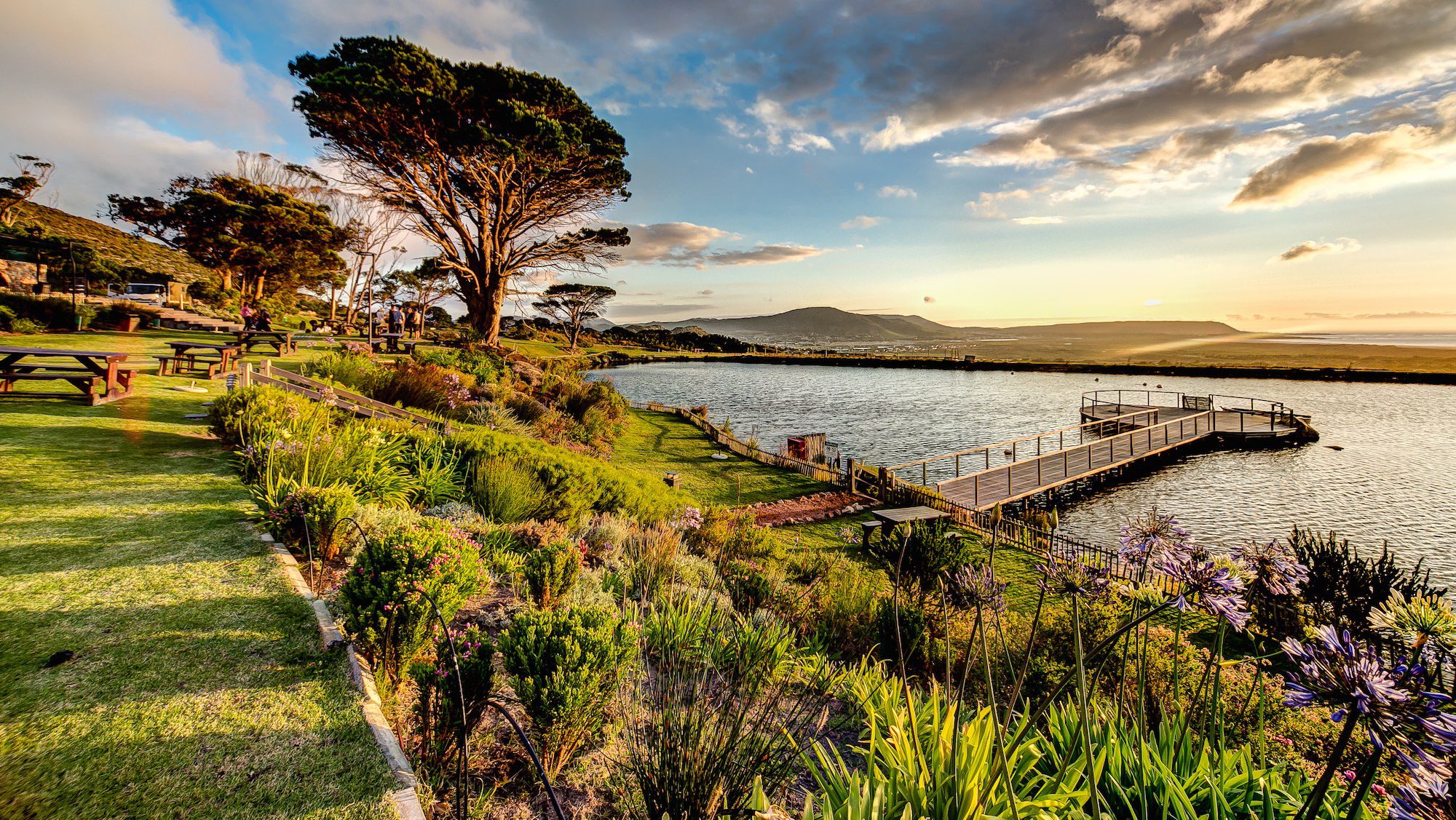 ケープ・ポイント・ヴィンヤーズ