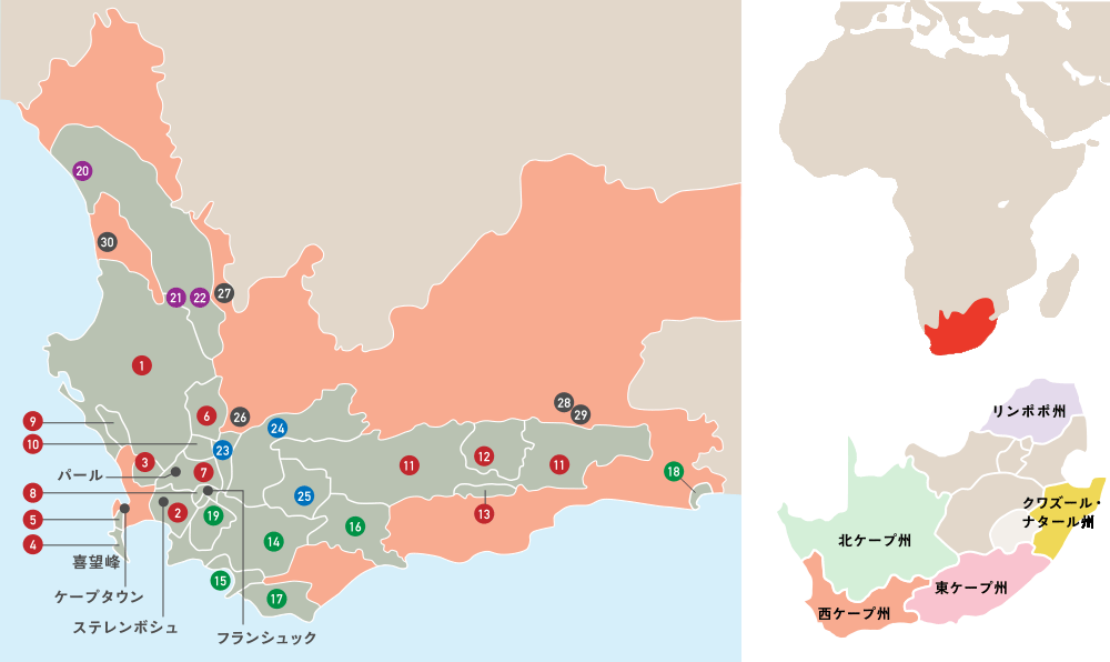 西ケープ州ワイン産地