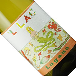 ワインアップ画像