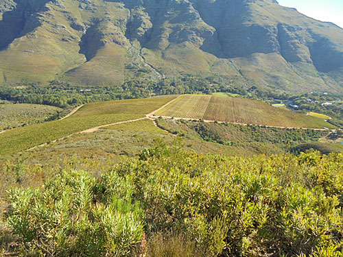 ワインブティックヴァンヴァン