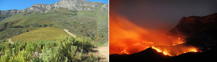 ワインブティックヴァンヴァン