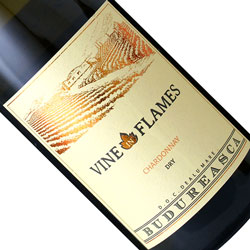 ワインアップ画像