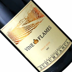 ワインアップ画像