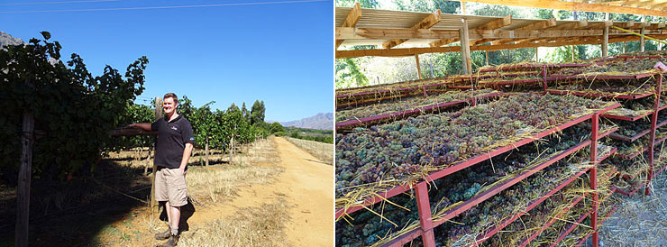 ハーテンバーグ1