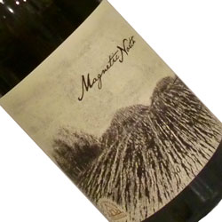 マグネティック・ノース　マウンテン・マックストック