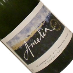 商品画像アップ