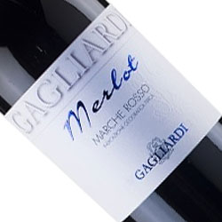 ワインアップ画像