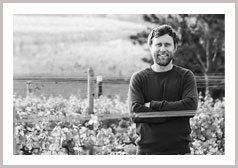 ストームワインズ