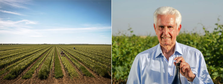 コンティ・ゼッカ