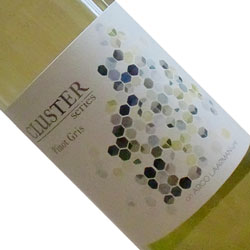 ワイン画像アップ