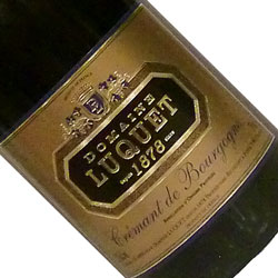 ワインアップ画像