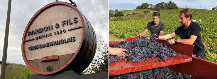 エリック・パルドン