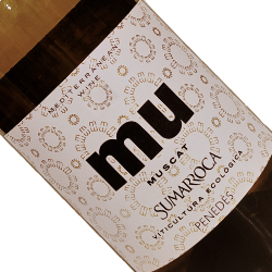 ワインアップ画像