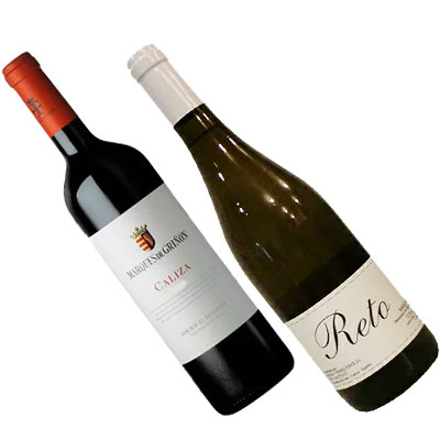 『本格』赤ワイン&辛口白ワイン2位