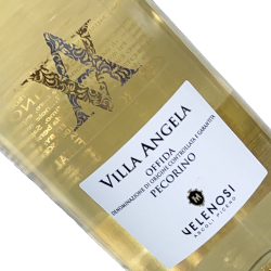 ワインアップ画像