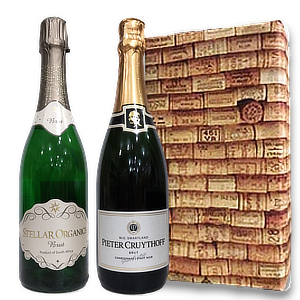 南アフリカスパークリングワイン2本セット