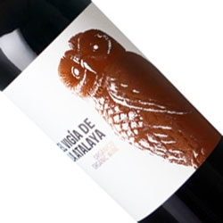 商品アップ画像