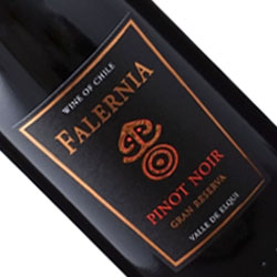 商品アップ画像