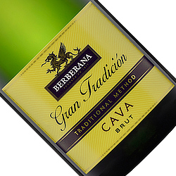 ドラゴン カヴァ