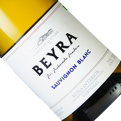 ベイラ ソーヴィニヨン・ブラン