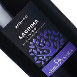 ラクリマ・デイ・モッロ・ダルバ