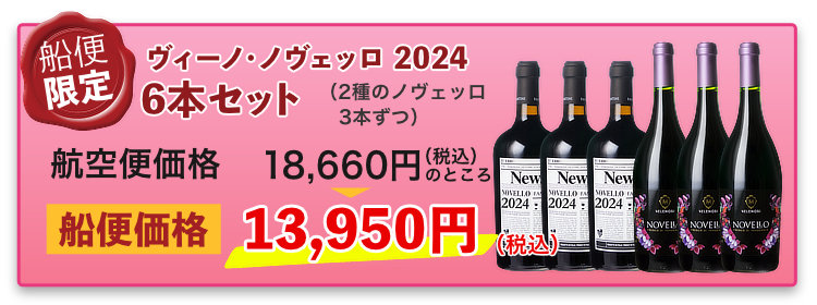 船便！ヴィーノ・ノヴェッロ 2024 6本セット
