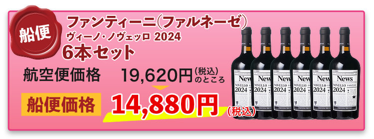 船便！ファルネーゼ ヴィーノ・ノヴェッロ 2024 6本セット