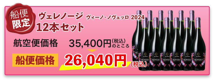 船便！ヴェレノージ ヴィーノ・ノヴェッロ 2024 12本セット