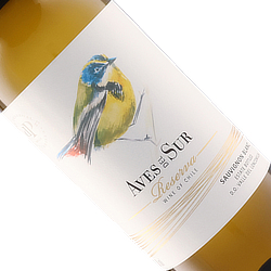 デル・スール ソーヴィニョン・ブラン