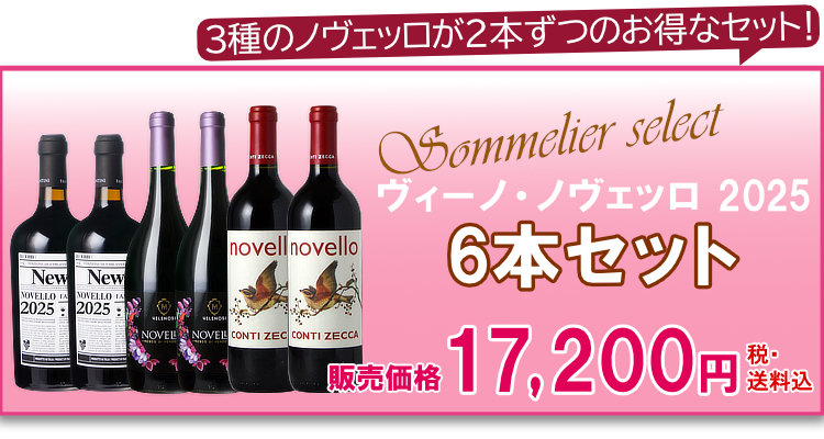 航空便！ヴィーノ・ノヴェッロ 2025 6本セット (3種×各2本)10月30日