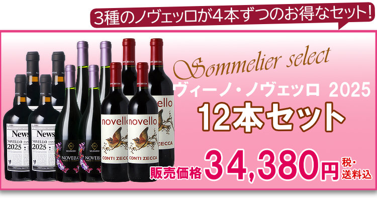 航空便！ヴィーノ・ノヴェッロ 2025 12本セット