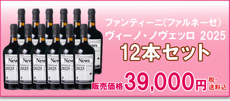 航空便ファンティーニ（ファルネーゼ）ヴィーノ・ノヴェッロ 2025 12本セット