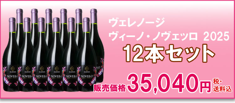 航空便ヴェレノージ ヴィーノ・ノヴェッロ 2025 12本セット