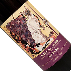 オルトレポ・パヴェーゼ バルベラ