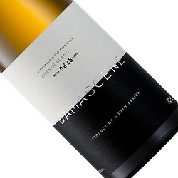 ダーマシーン ステレンボッシュ シュナン・ブラン