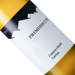 プリモディクーピ ヴィッサネッロ