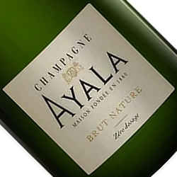 ワインアップ画像