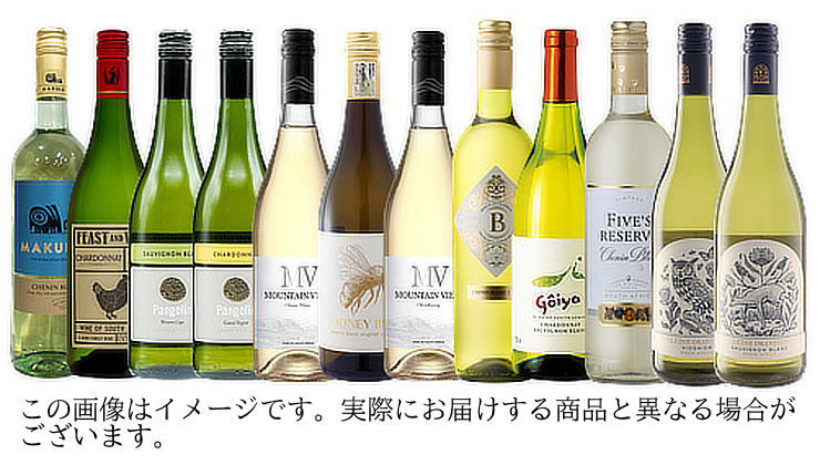 日常ワイン12本セット白だけ