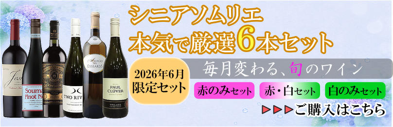 【送料無料】日本ワイン ヴィンテージ 2本セット ナナツモリ&リュードヴァン ワイン通販｜ワインブティックヴァンヴァン本店