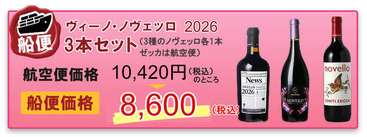 船便！ヴィーノ・ノヴェッロ 2026 3本セット