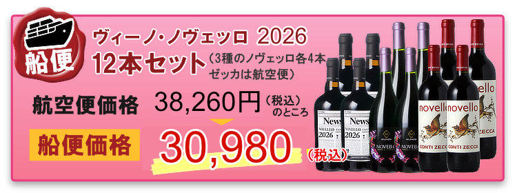 船便！ヴィーノ・ノヴェッロ 2026 12本セット