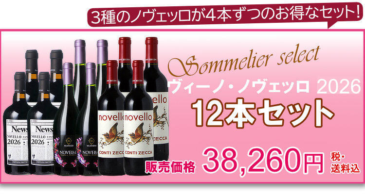ヴィーノ・ノヴェッロ 2026 12本セット