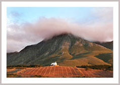 アタラクシア・ワインズ