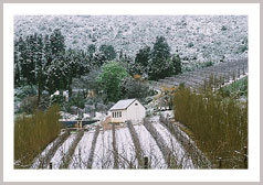 レインボーズ・エンド ワイン・エステート 