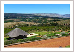 スピオンコップ