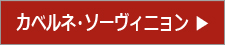 カベルネソーヴィニョン