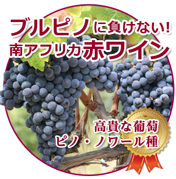 南アフリカワイン