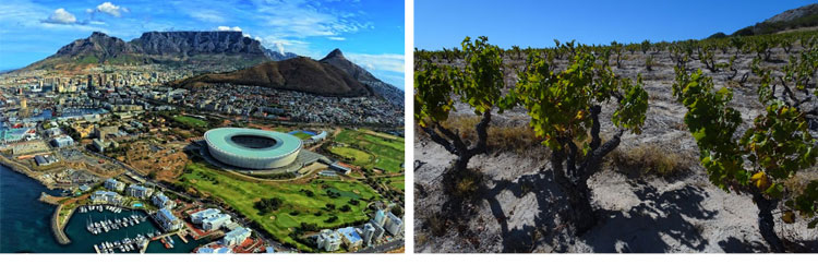 日常ワインタイトル