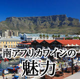 南アフリカワインの魅力