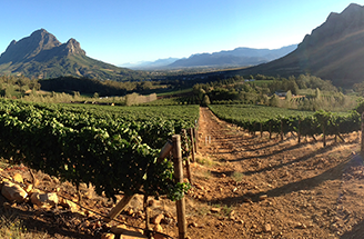 レインボーズエンドワインエステート